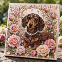 🐾 Dachshund