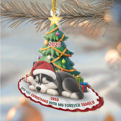 Custom First Christmas Acrylic Ornament - Personalized Christmas Birthday Gifts For Dog Cat Lovers, Dog Dad And Mom, Cat Owners - Purrfectly Festive