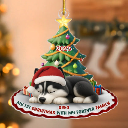 Custom First Christmas Acrylic Ornament - Personalized Christmas Birthday Gifts For Dog Cat Lovers, Dog Dad And Mom, Cat Owners - Purrfectly Festive