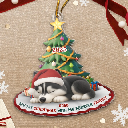 Custom First Christmas Acrylic Ornament - Personalized Christmas Birthday Gifts For Dog Cat Lovers, Dog Dad And Mom, Cat Owners - Purrfectly Festive