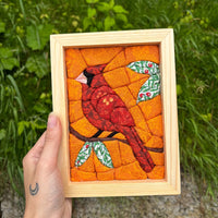 Northern Cardinal